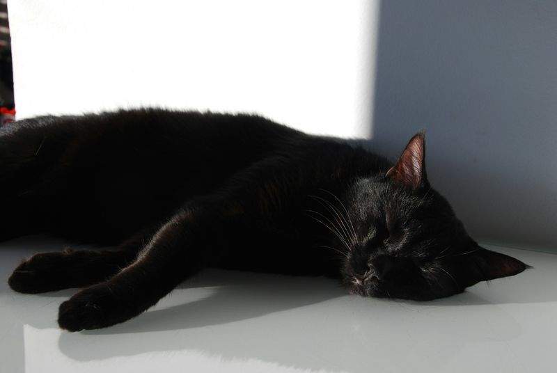 Come Creare una Routine Notturna Perfetta