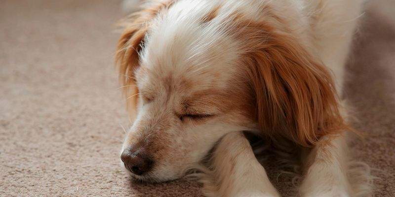 L'Importanza del Materasso Giusto