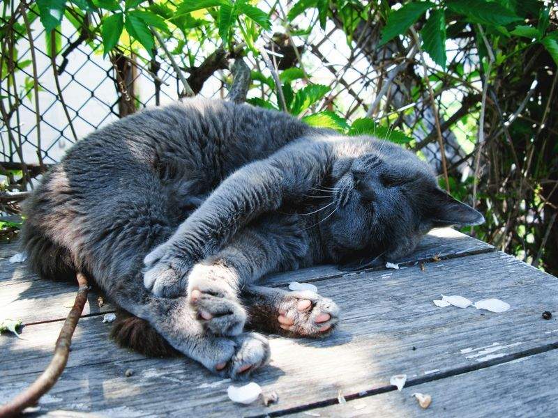 Sogni Sereni S.r.l. - Image 14