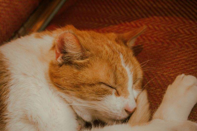 Consulenza sul sonno