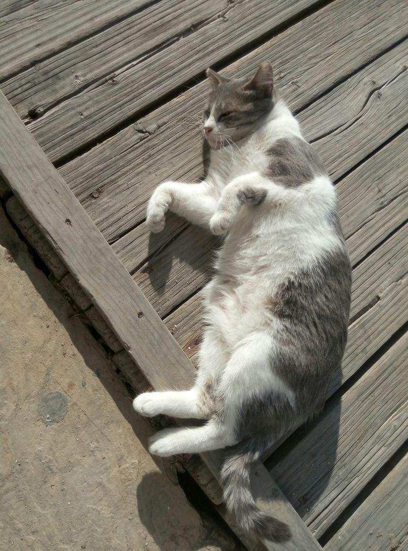 Coaching per l'igiene del sonno